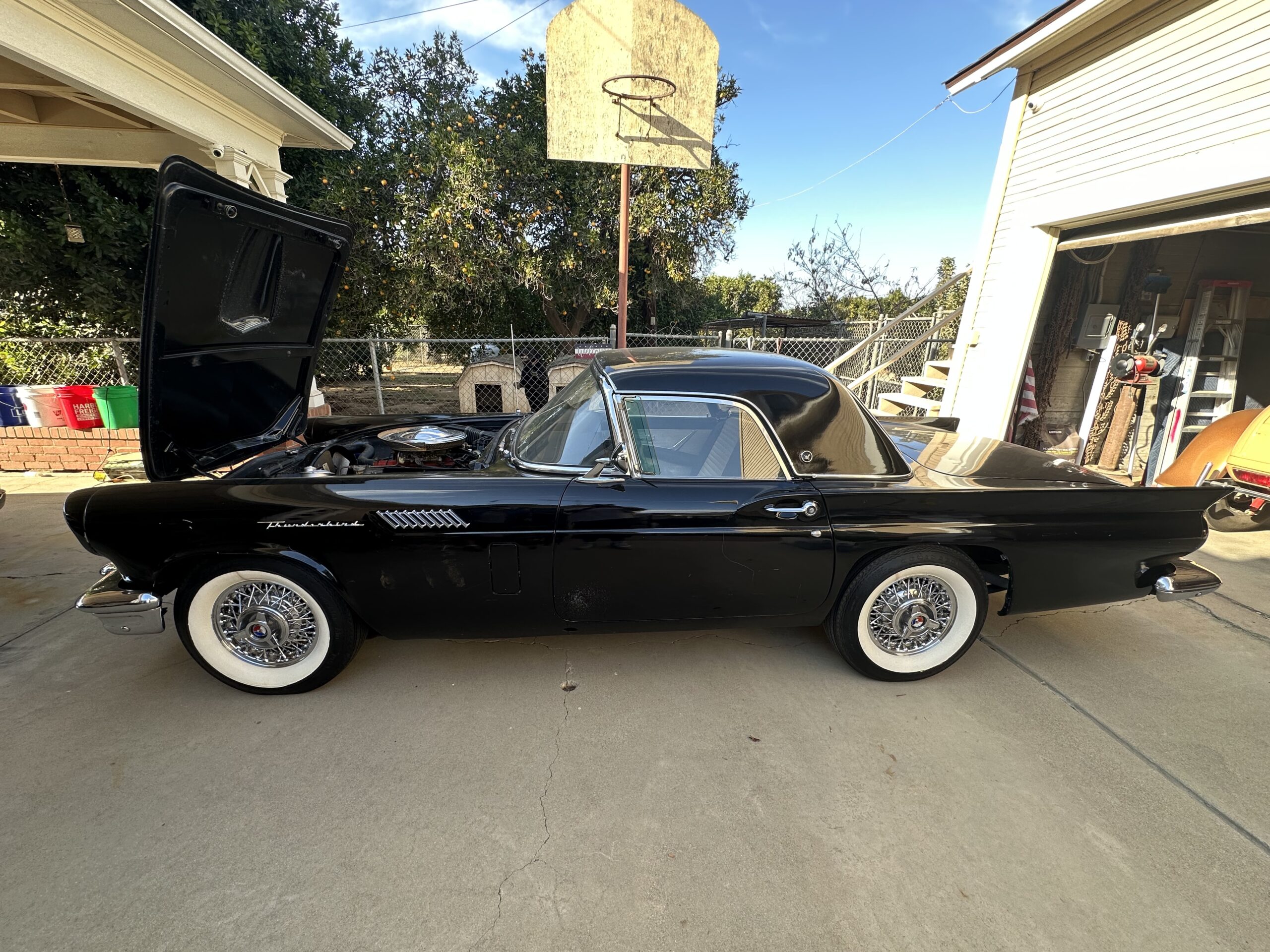 1957 Ford Thunderbird VIN Verification